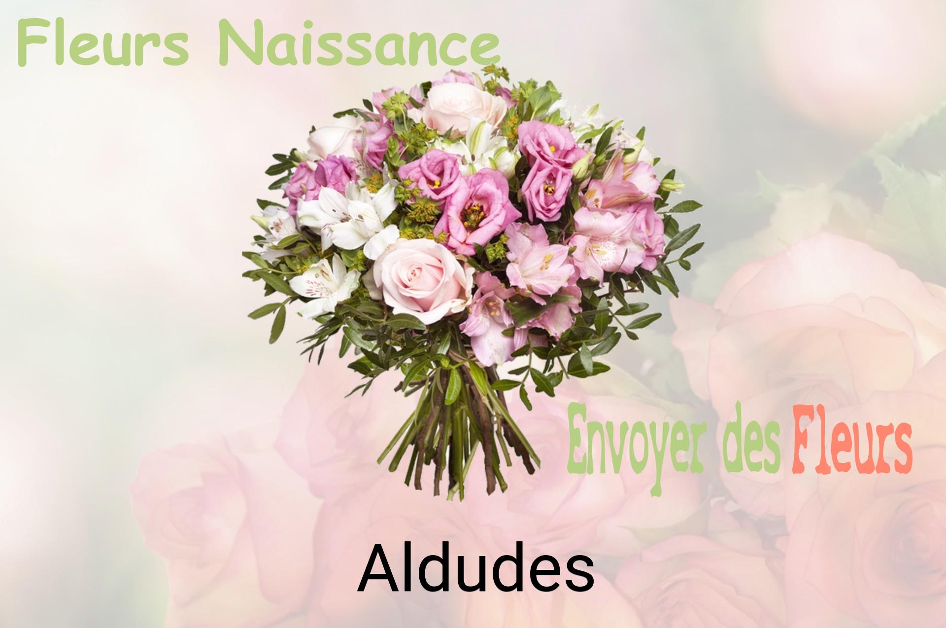 Bouquet de fleurs de naissance livré à Aldudes